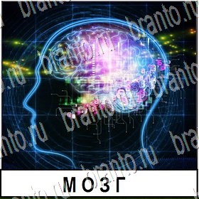 ВКонтакте игра Разгадай слово ответы Уровень 295