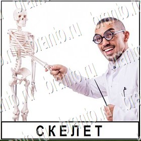 ответы из игры Разгадай слово Уровень 297