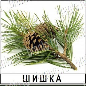 Игра Разгадай слово ВКонтакте решения Уровень 317