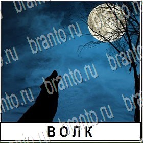 все решения к игре Разгадай слово Уровень 327