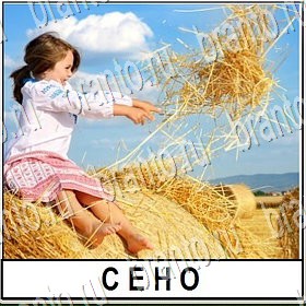 Разгадай слово ответы Уровень 333