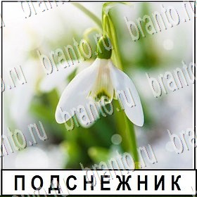 Разгадай слово Уровень 339