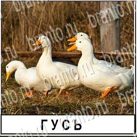 все уровни игры Разгадай слово Уровень 340 ответ