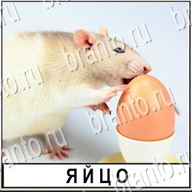 Разгадай слово ответы на все задания Уровень 357