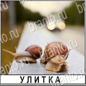 Разгадай слово ответы Уровень 360