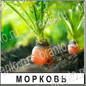 Разгадай слово ВКонтакте подсказки Уровень 363