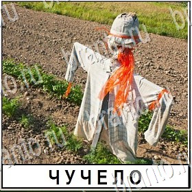 подсказки на все уровни игры Разгадай слово Уровень 376