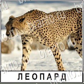 ответы для игры Разгадай слово Уровень 398