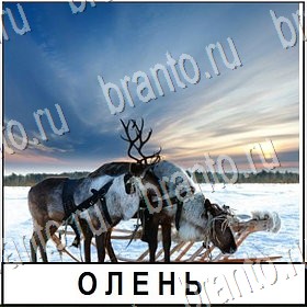 игра Разгадай слово в контакте подсказки Уровень 414