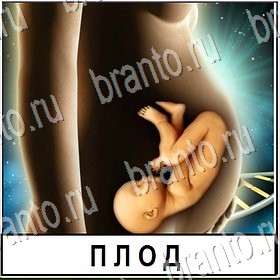 Разгадай слово ответы к игре Уровень 431