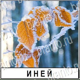 ВКонтакте игра Разгадай слово ответы Уровень 445