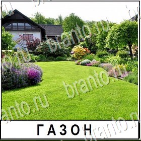 Разгадай слово игра в контакте помощь Уровень 455