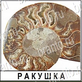 ответы для игры Разгадай слово Уровень 488