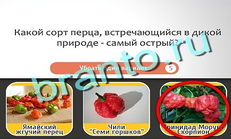 Подсказки на игру Кто самый-самый Уровень 152