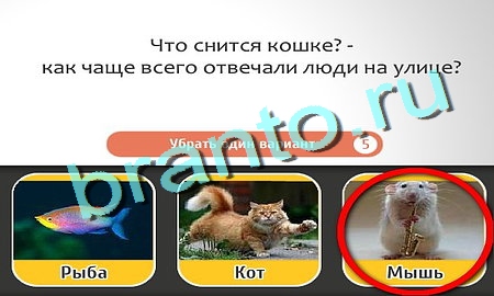 Кто самый-самый подсказки в контакте Уровень 159