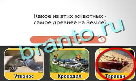 Кто самый-самый решения Уровень 162