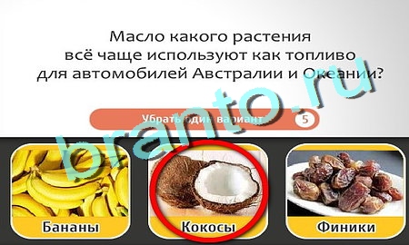 Подсказки на игру Кто самый-самый Уровень 182