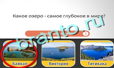 игра Кто самый-самый помощь Уровень 209