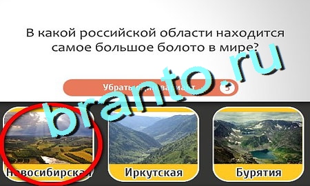 Игра Кто самый-самый ответы Уровень 227