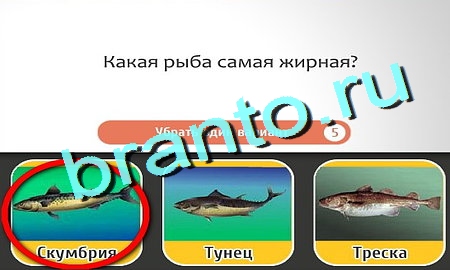 Кто самый-самый решения Уровень 232