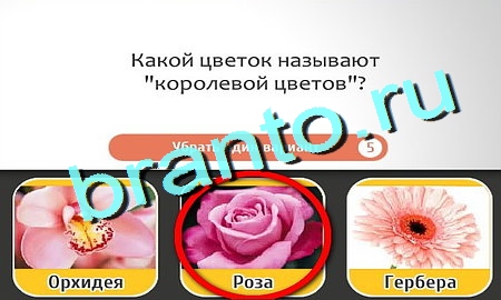 Кто самый-самый игра помощь Уровень 235