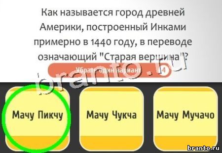 игра Кто самый-самый помощь Уровень 239