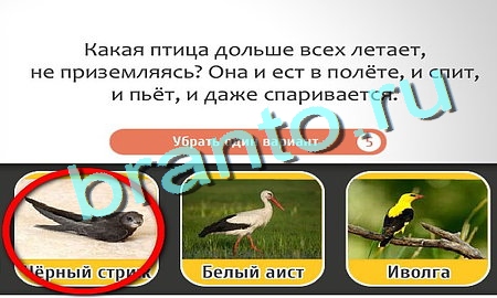 Кто самый-самый решения Уровень 282