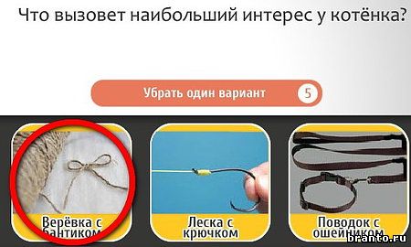 Кто самый-самый игра помощь Уровень 285