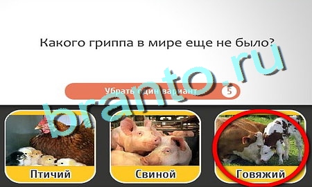 Кто самый-самый игра подсказки Уровень 294