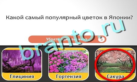 Кто самый-самый игра помощь Уровень 295