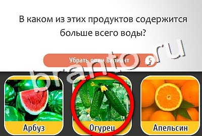 Подсказки на игру Кто самый-самый Уровень 332