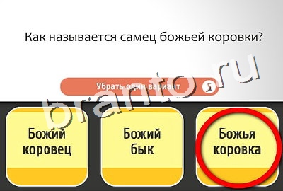 ответы к игре Кто самый-самый Уровень 335