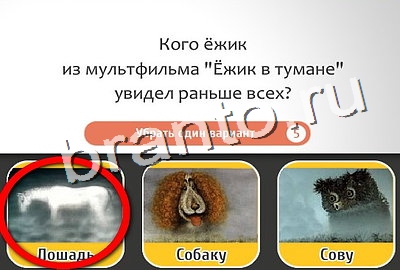 Кто самый-самый игра ответы Уровень 343