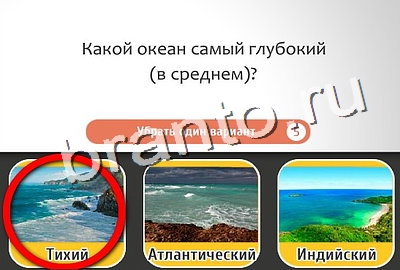 Кто самый-самый игра подсказки Уровень 344