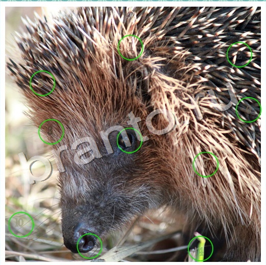 Подсказки на игру Скрытые номера Уровень 62
