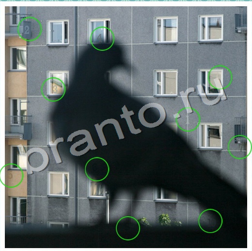 ответы на игру в одноклассниках Скрытые номера Уровень 66