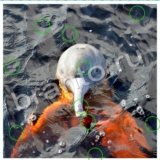 Скрытые номера подсказки в контакте Уровень 69