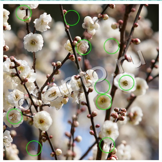 Скрытые номера игра в одноклассниках помощь Уровень 75