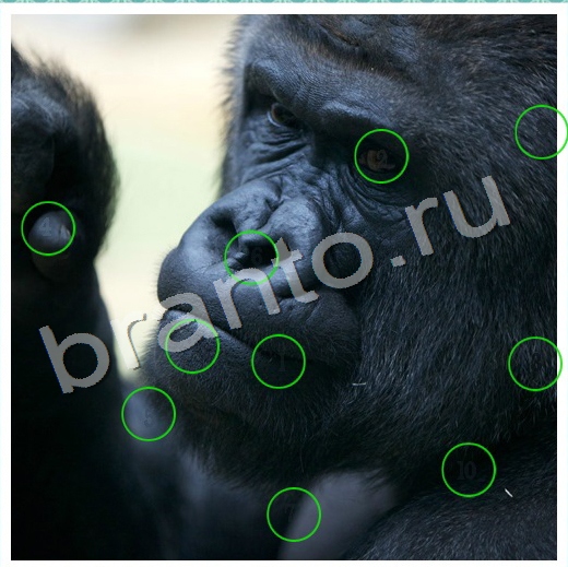 Скрытые номера ответы в картинках в контакте Уровень 76