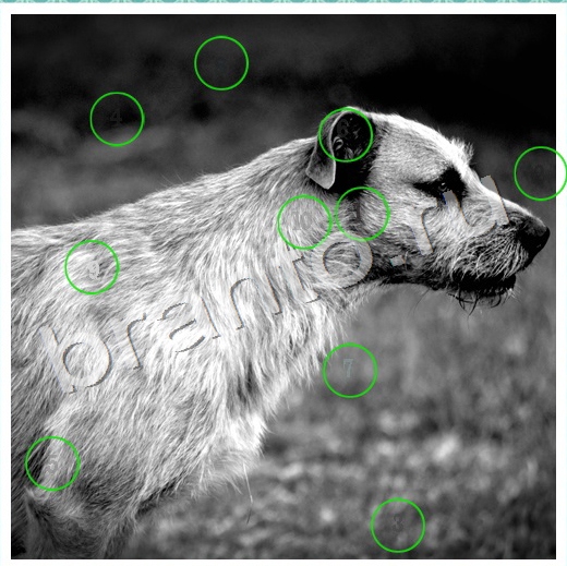 Игра Скрытые номера подсказки вк Уровень 78