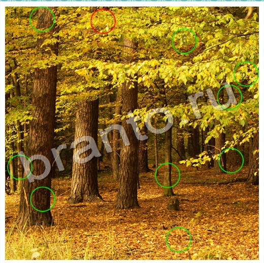 игра Скрытые номера помощь одноклассники Уровень 79