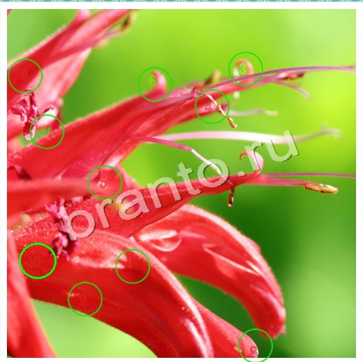 Решения на игру Скрытые номера Уровень 83