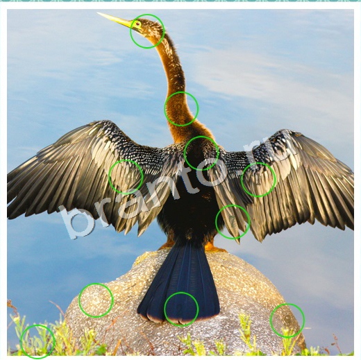 Скрытые номера игра ответы в одноклассниках Уровень 87