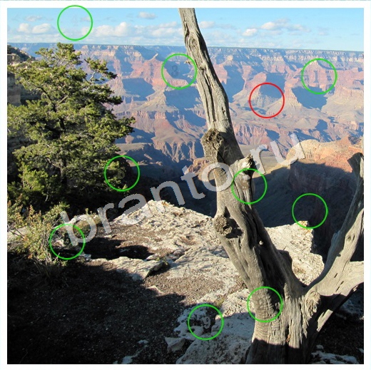 Скрытые номера подсказки в контакте Уровень 89