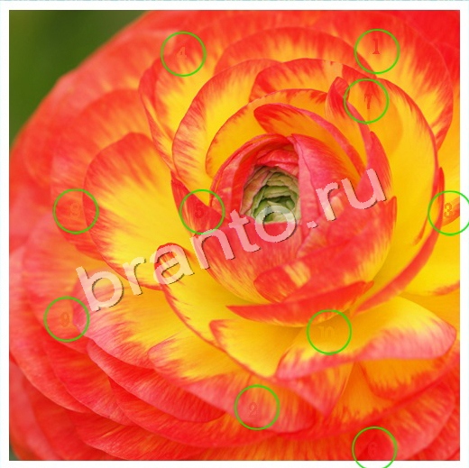 Скрытые номера решения Уровень 92