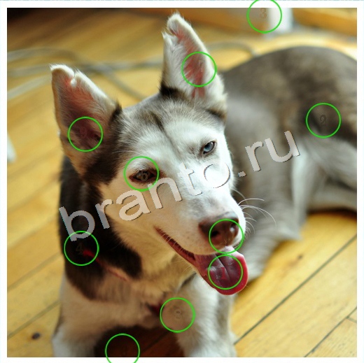 игра Скрытые номера помощь одноклассники Уровень 99