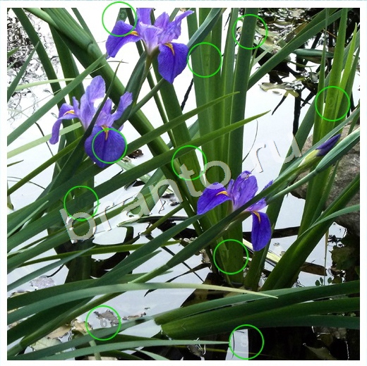 игра Скрытые номера ответы в одноклассниках на Уровень 100