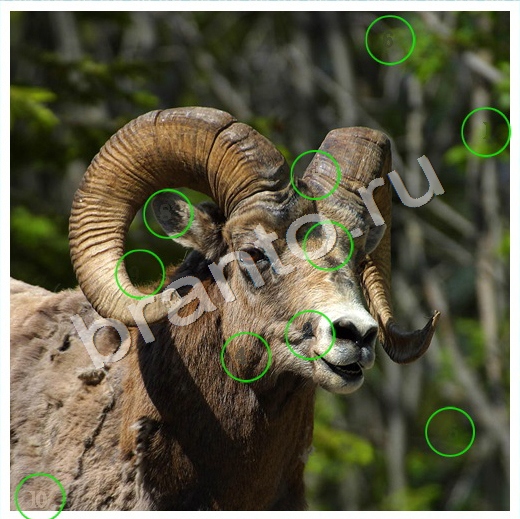 Скрытые номера игра ответы Уровень 133