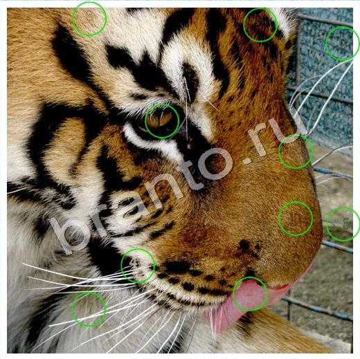 Скрытые номера игра в одноклассниках помощь Уровень 135