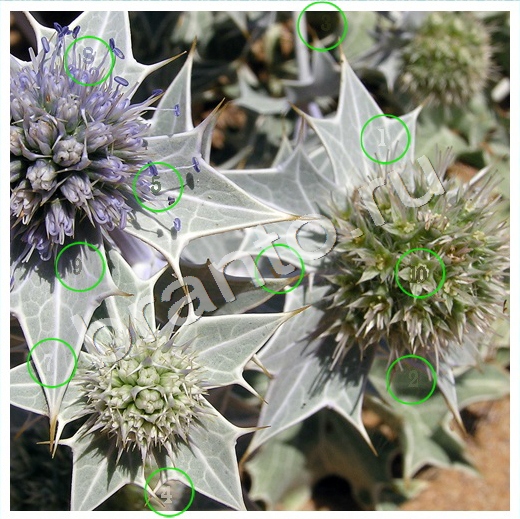 Скрытые номера ответы в картинках в контакте Уровень 136